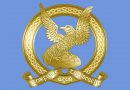 Irish Air Corps expansion into an Air Force